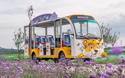 旅游景區(qū)為什么要用燃油觀光車？