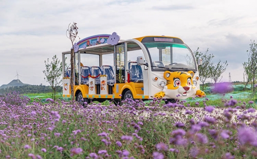 購買觀光車不能只看價(jià)格