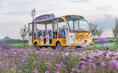 電動觀光車廠家哪個品牌好，電動觀光車市場價格